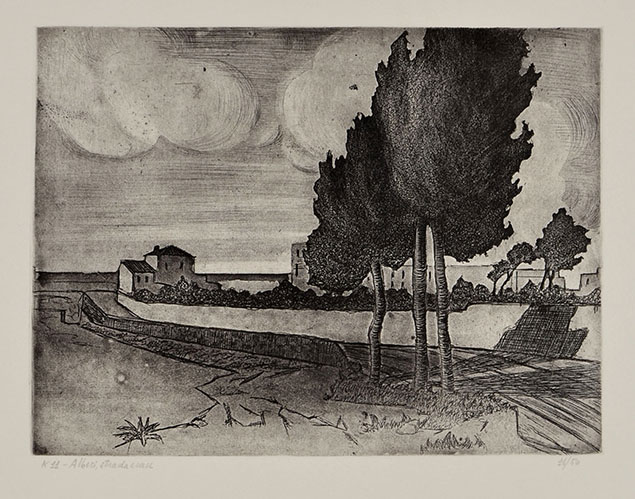 ALBERI, STRADA E CASE